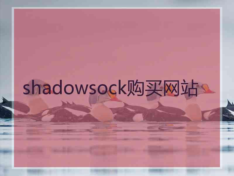shadowsock购买网站