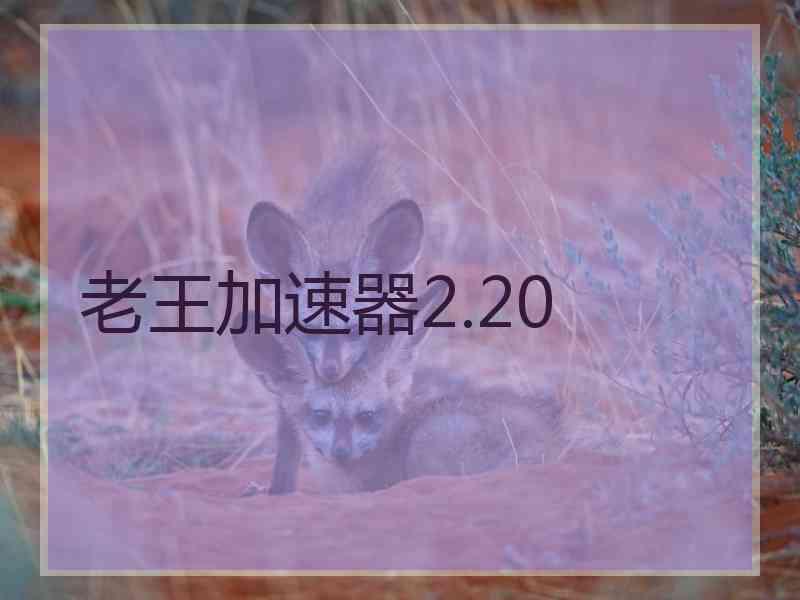 老王加速器2.20