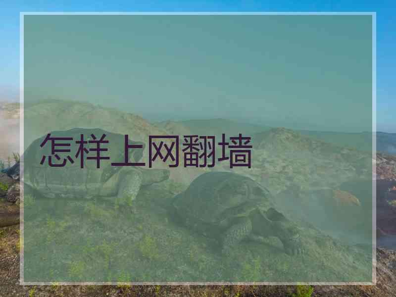 怎样上网翻墙