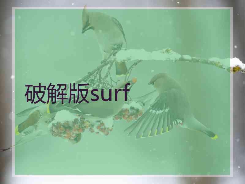 破解版surf