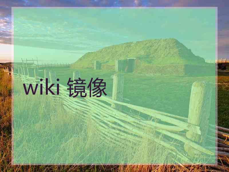 wiki 镜像