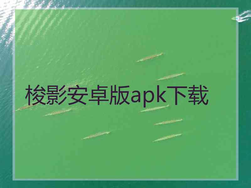 梭影安卓版apk下载