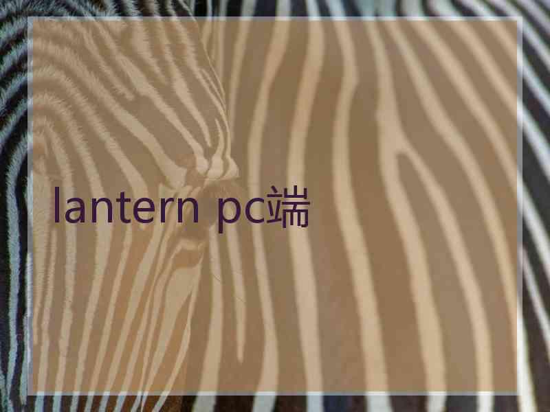 lantern pc端