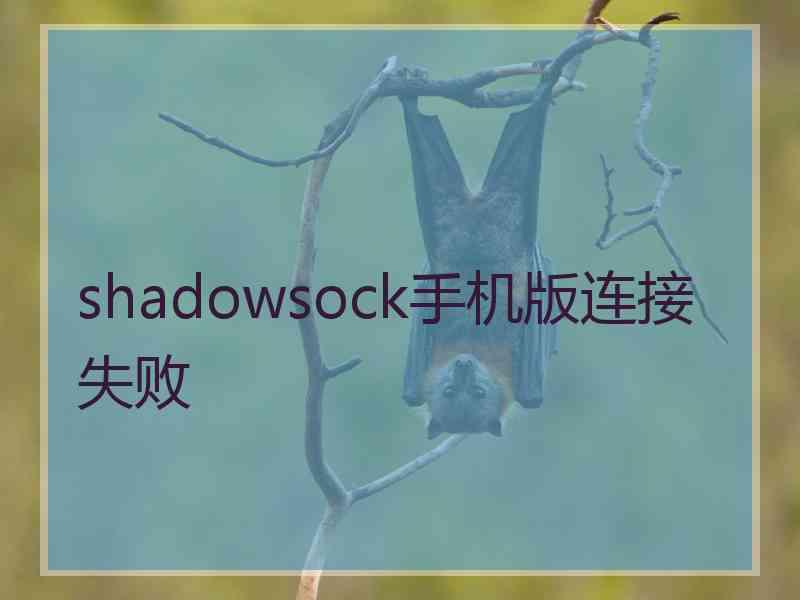 shadowsock手机版连接失败