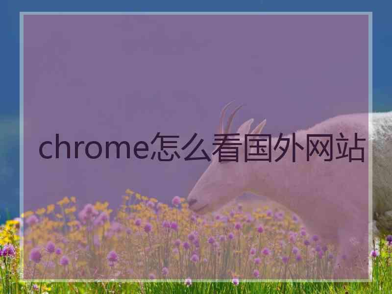 chrome怎么看国外网站
