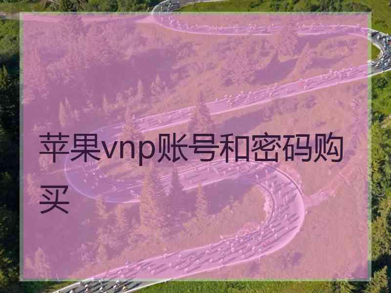 苹果vnp账号和密码购买