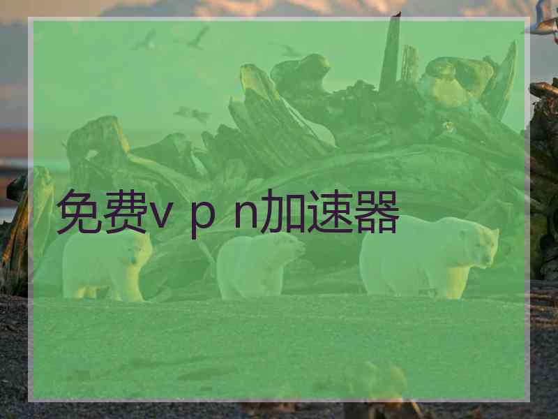 免费v p n加速器