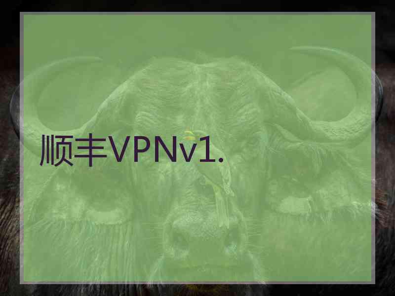 顺丰VPNv1.