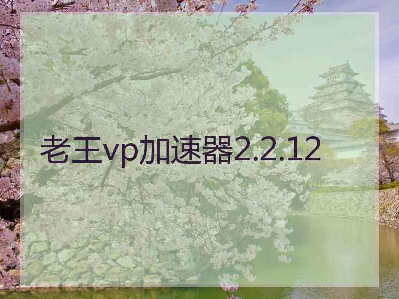 老王vp加速器2.2.12
