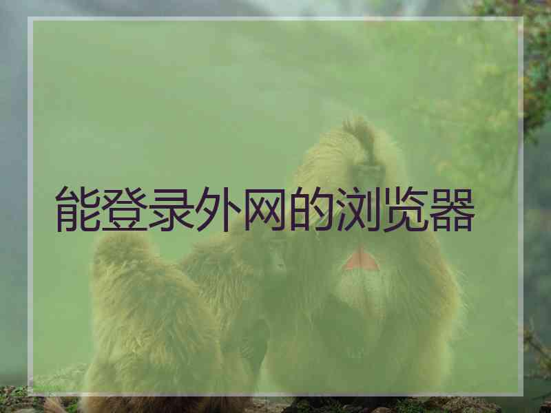 能登录外网的浏览器