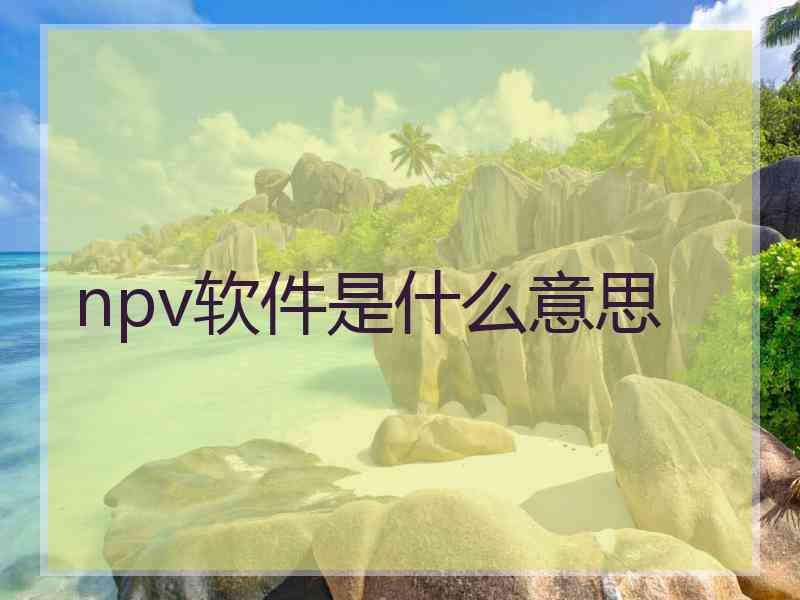 npv软件是什么意思