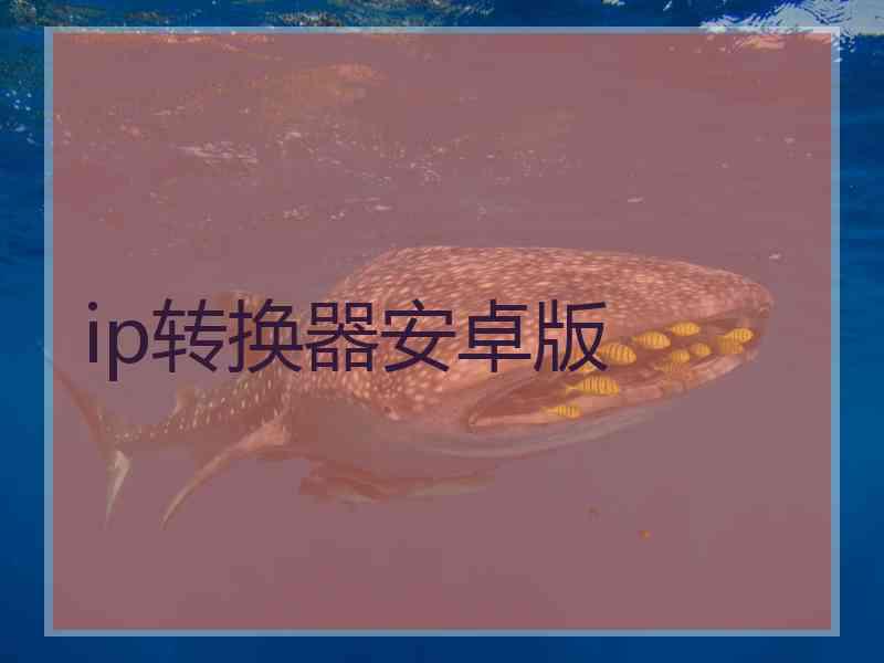 ip转换器安卓版