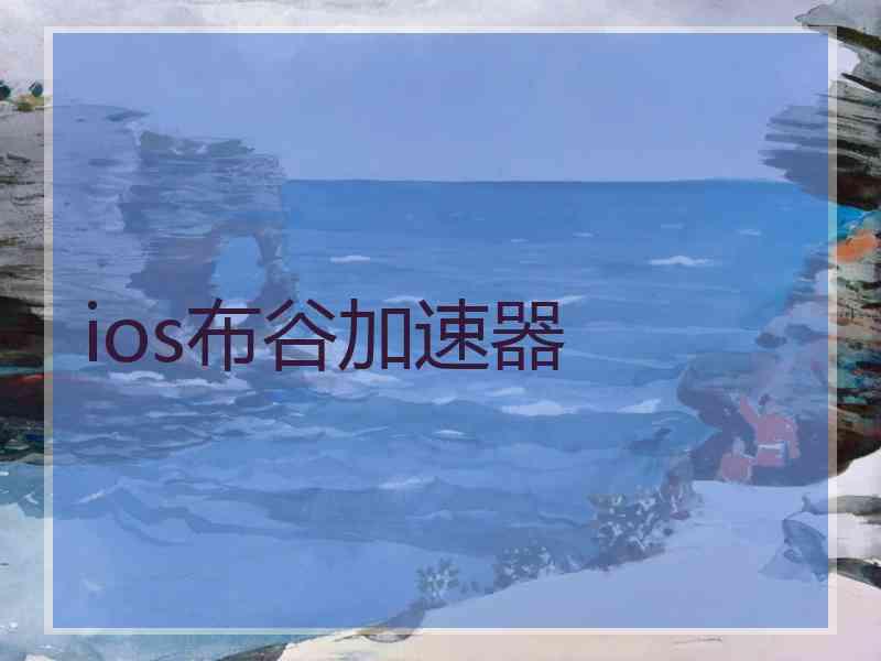 ios布谷加速器