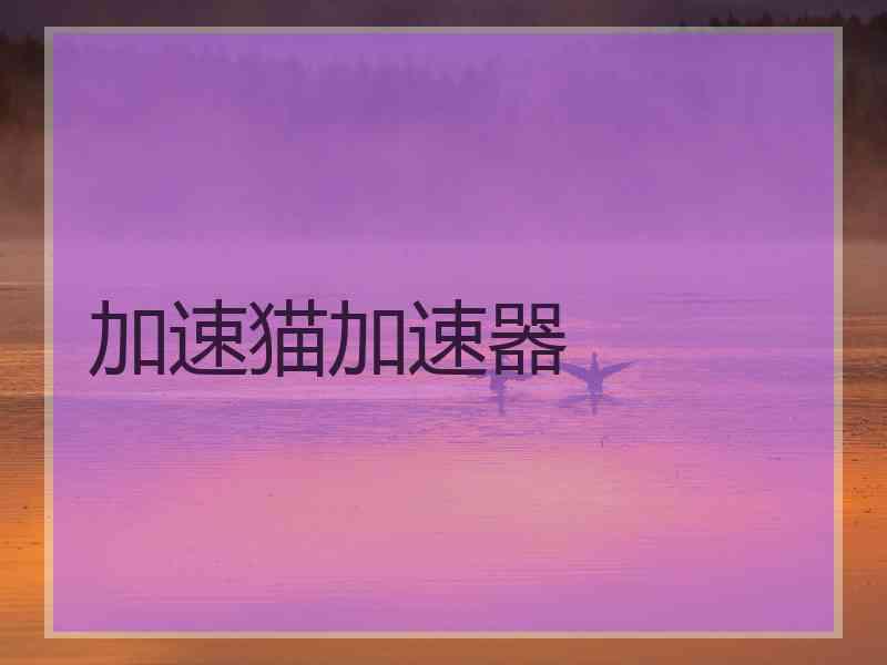 加速猫加速器