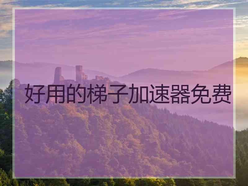 好用的梯子加速器免费