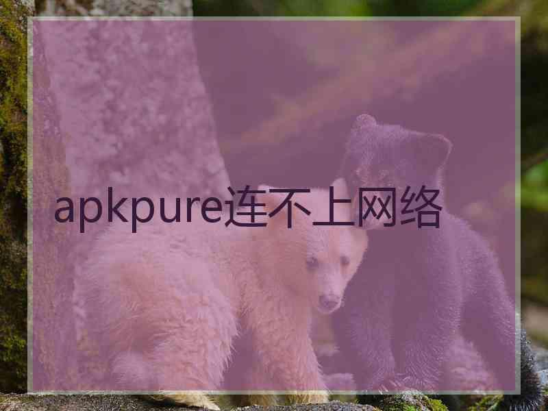 apkpure连不上网络