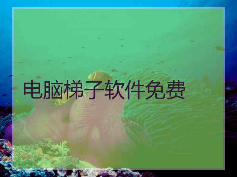 电脑梯子软件免费
