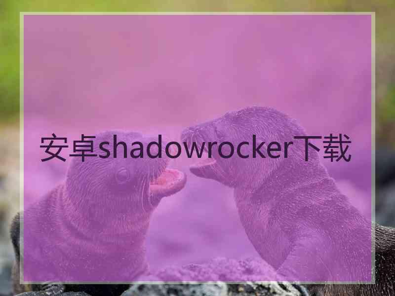 安卓shadowrocker下载