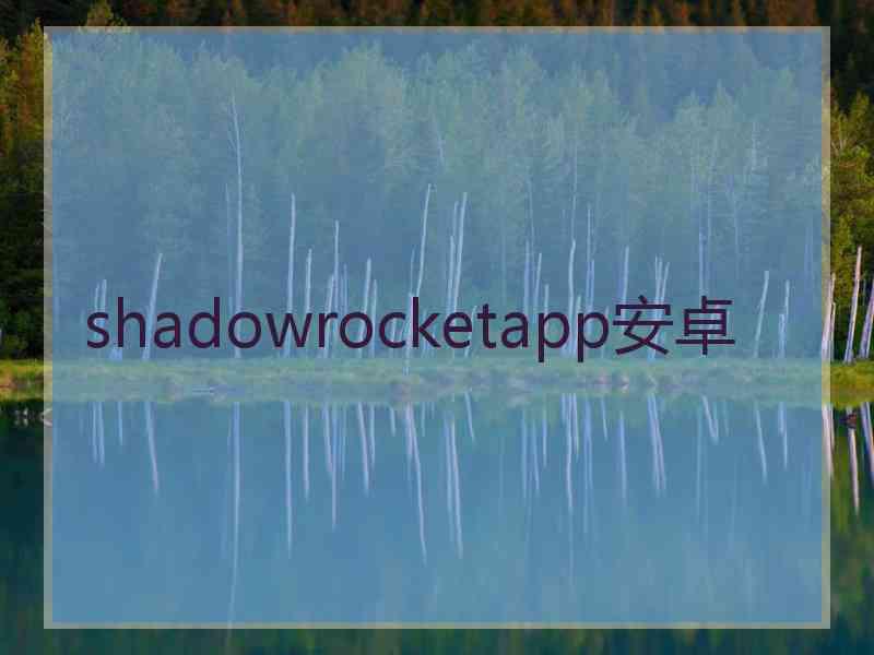 shadowrocketapp安卓