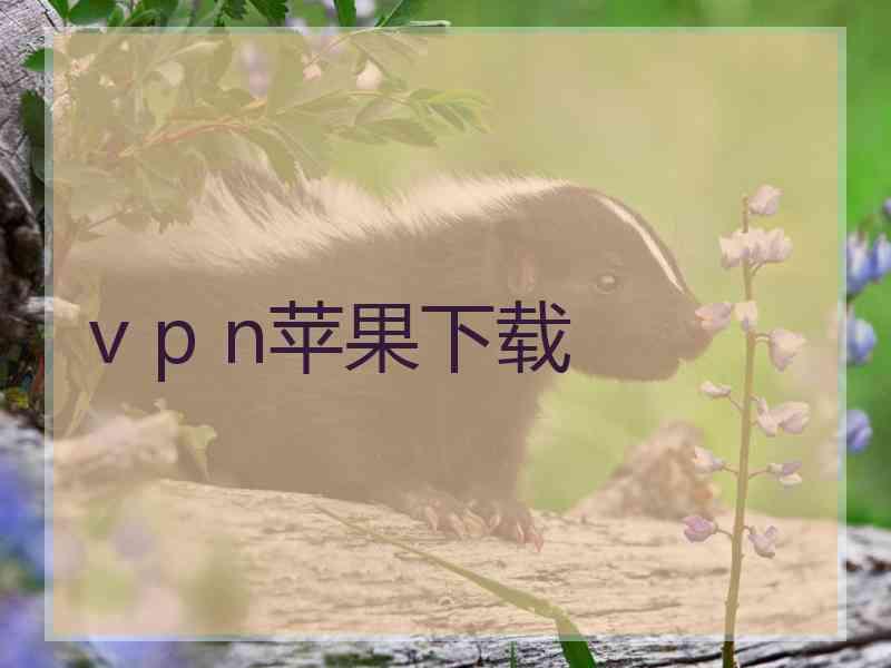 v p n苹果下载
