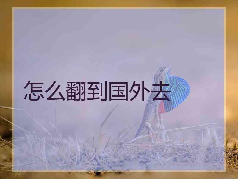 怎么翻到国外去