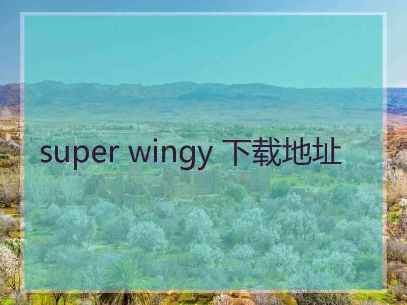 super wingy 下载地址