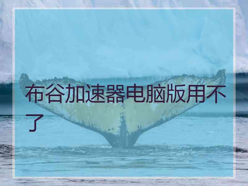 布谷加速器电脑版用不了