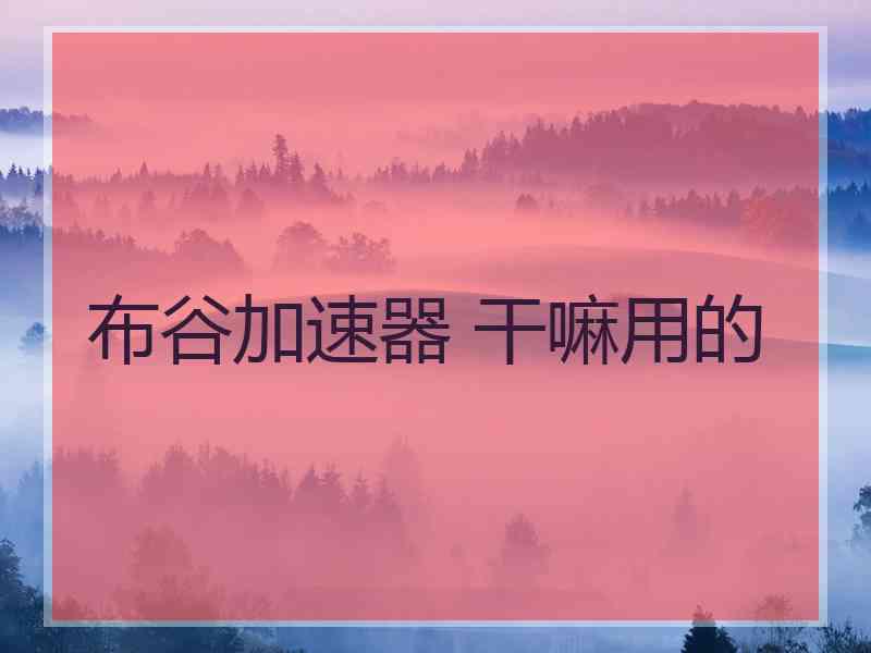 布谷加速器 干嘛用的