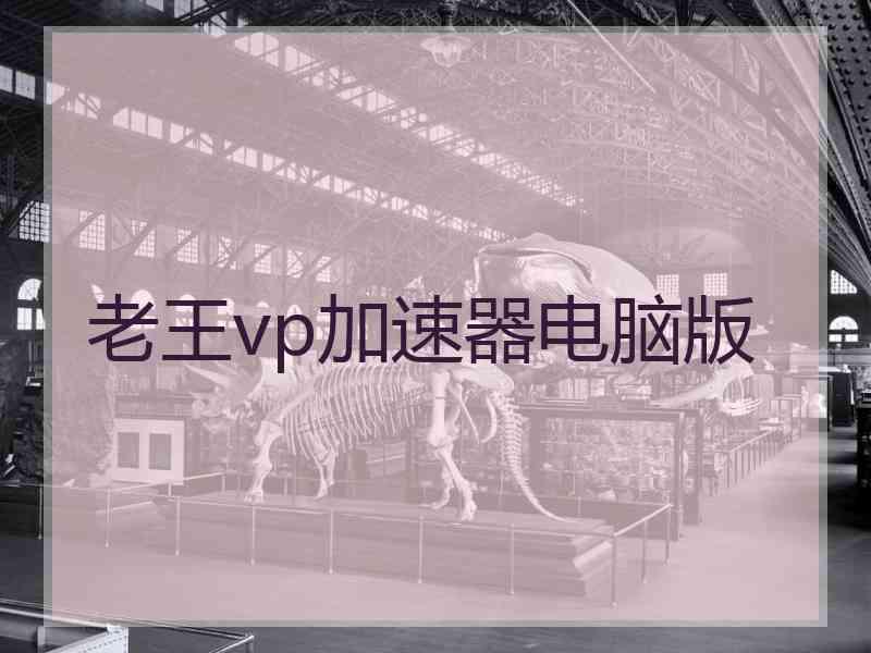 老王vp加速器电脑版