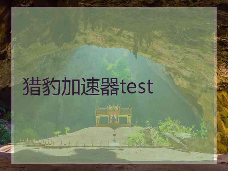 猎豹加速器test