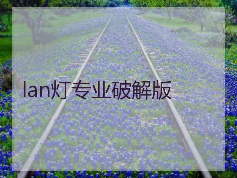 lan灯专业破解版