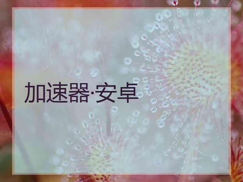 加速器·安卓