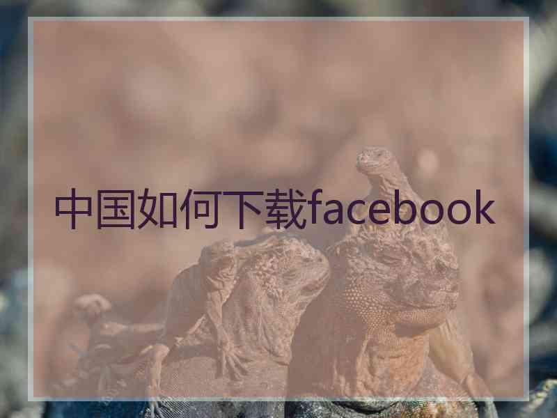中国如何下载facebook