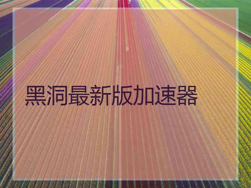 黑洞最新版加速器