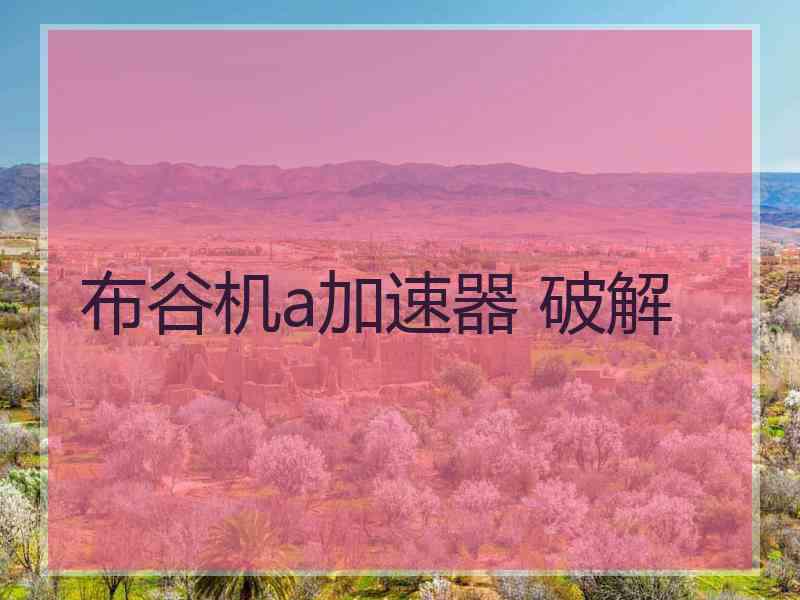 布谷机a加速器 破解