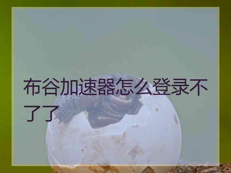 布谷加速器怎么登录不了了