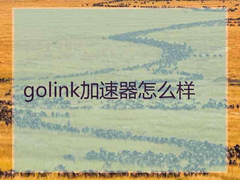 golink加速器怎么样
