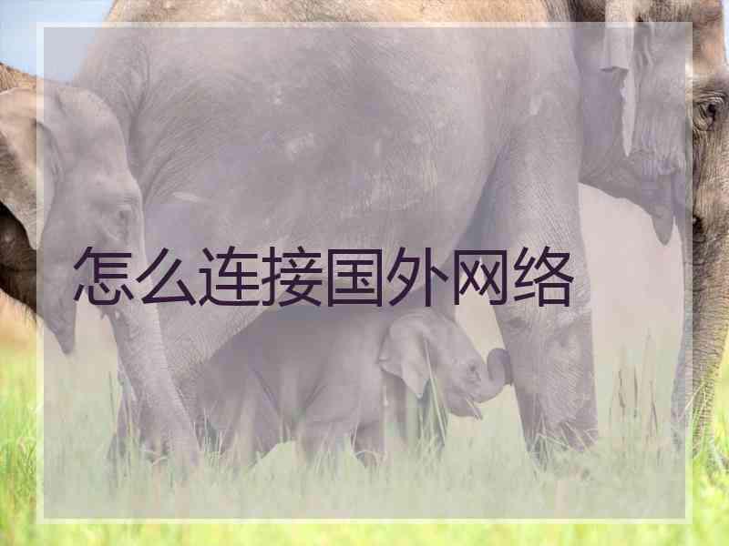怎么连接国外网络