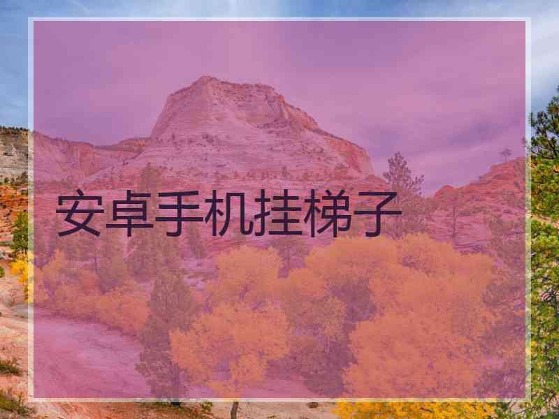 安卓手机挂梯子