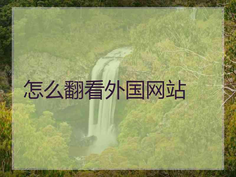 怎么翻看外国网站