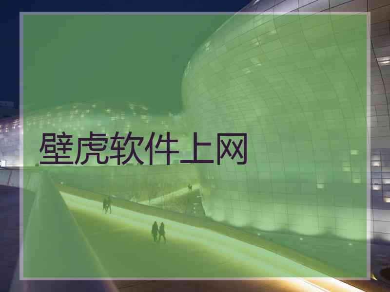 壁虎软件上网