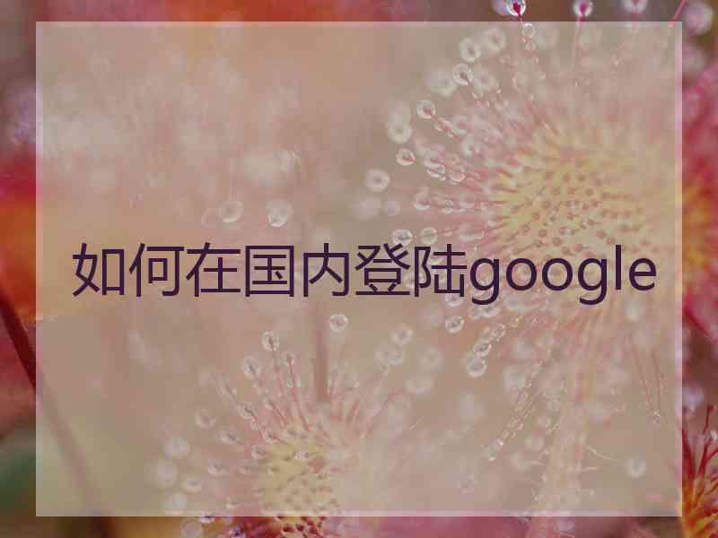 如何在国内登陆google