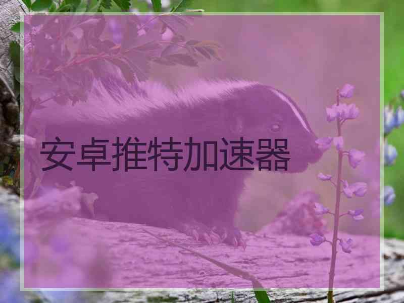 安卓推特加速器