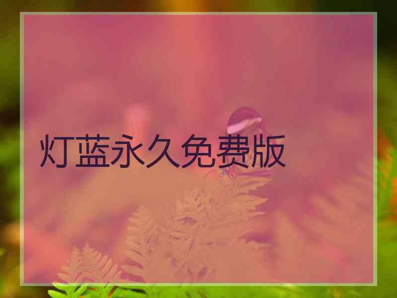 灯蓝永久免费版