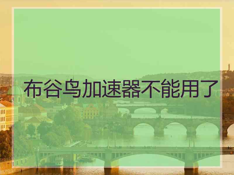 布谷鸟加速器不能用了