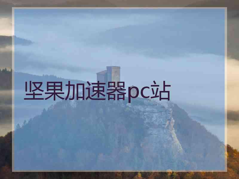 坚果加速器pc站