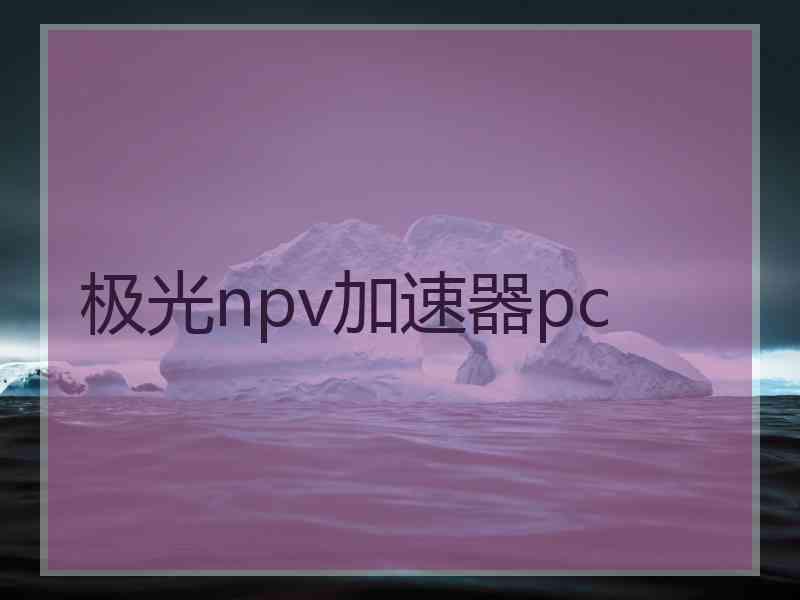 极光npv加速器pc