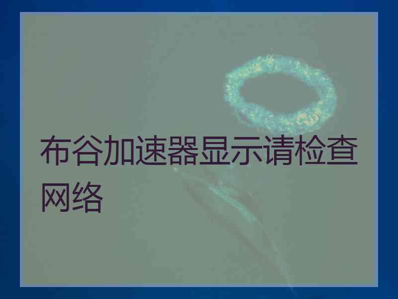 布谷加速器显示请检查网络