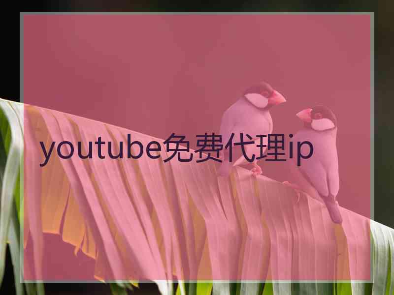youtube免费代理ip