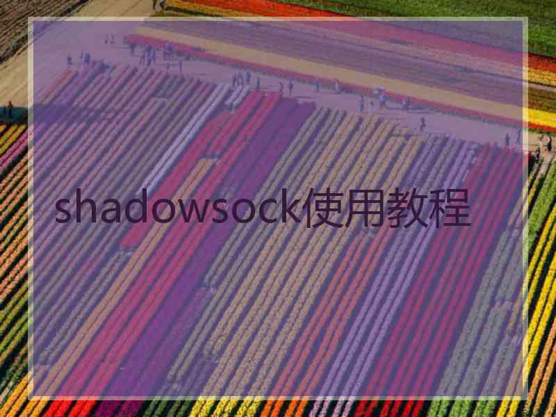shadowsock使用教程